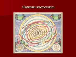 Harmonia macrocosmica
 