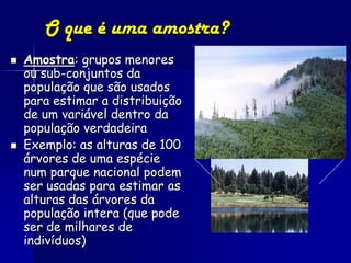 O que é uma amostra?
   Amostra: grupos menores
    ou sub-conjuntos da
    população que são usados
    para estimar a distribuição
    de um variável dentro da
    população verdadeira
   Exemplo: as alturas de 100
    árvores de uma espécie
    num parque nacional podem
    ser usadas para estimar as
    alturas das árvores da
    população intera (que pode
    ser de milhares de
    indivíduos)
 