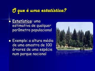 O que é uma estatística?
   Estatística: uma
    estimativa de qualquer
    parâmetro populacional

   Exemplo: a altura média
    de uma amostra de 100
    árvores de uma espécie
    num parque nacional
 