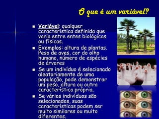 O que é um variável?
   Variável: qualquer
    característica definida que
    varia entre entes biológicas
    ou físicas.
   Exemplos: altura de plantas.
    Peso de aves, cor do olho
    humano, número de espécies
    de árvores
   Se um indivíduo é selecionado
    aleatoriamente de uma
    população, pode demonstrar
    um peso, altura ou outra
    característica própria.
   Se vários indivíduos são
    selecionados, suas
    características podem ser
    muito similares ou muito
    diferentes.
 