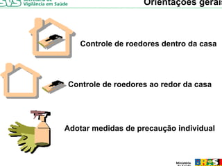 Orientações gerais



   Controle de roedores dentro da casa




Controle de roedores ao redor da casa




Adotar medidas de precaução individual
 