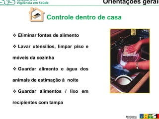 Orientações gerais

              Controle dentro de casa

  Eliminar fontes de alimento

  Lavar utensílios, limpar piso e

móveis da cozinha

  Guardar alimento e água dos

animais de estimação à noite

  Guardar alimentos / lixo em

recipientes com tampa
 