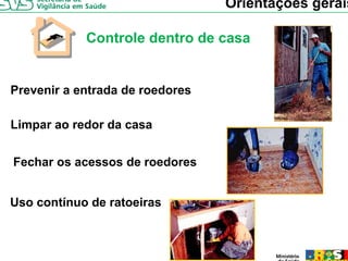 Orientações gerais

            Controle dentro de casa


Prevenir a entrada de roedores

Limpar ao redor da casa
   p


Fechar os acessos de roedores


Uso
U contínuo d ratoeiras
     tí    de t i
 