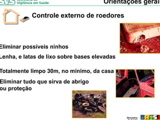 Orientações gerais

            Controle externo de roedores



Eliminar possíveis ninhos
Lenha, e latas de lixo sobre bases elevadas

Totalmente limpo 30m, no mínimo, da casa
Eliminar tudo que sirva de abrigo
ou proteção
 