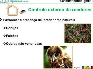 Orientações gerais

              Controle externo de roedores

Favorecer a presença de predadores naturais

 Corujas

 Falcões

 Cobras não venenosas
 