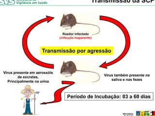 Transmissão da SCPH




                                Roedor infectado
                              (infecção inaparente)



                     Transmissão por agressão


Vírus presente em aerossóis
         de excretas,                                 Vírus também presente na
   Principalmente na urina                                saliva e nas fezes



                                  Período de Incubação: 03 a 60 dias
 