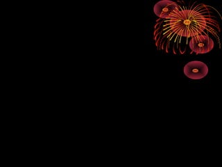 Dados sobre uso de drogas b e m 13 08