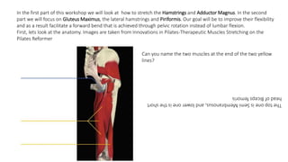 In the first part of this workshop we will look at how to stretch the Hamstrings and Adductor Magnus. In the second
part we will focus on Gluteus Maximus, the lateral hamstrings and Piriformis. Our goal will be to improve their flexibility
and as a result facilitate a forward bend that is achieved through pelvic rotation instead of lumbar flexion.
First, lets look at the anatomy. Images are taken from Innovations in Pilates-Therapeutic Muscles Stretching on the
Pilates Reformer
Can you name the two muscles at the end of the two yellow
lines?
ThetoponeisSemiMembranosus,andloweroneistheshort
headofBicepsfemoris
 
