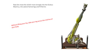 Now lets move the stretch more strongly into the Gluteus
Maximus, the Lateral Hamstrings and Piriformis
 