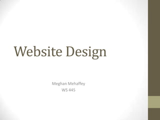Website Design Meghan Mehaffey WS 445 