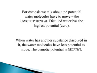 For osmosis we talk about the potential 
water molecules have to move – the 
OSMOTIC POTENTIAL. Distilled water has the 
highest potential (zero). 
When water has another substance dissolved in 
it, the water molecules have less potential to 
move. The osmotic potential is NEGATIVE. 
 