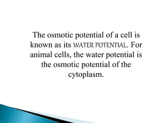 The osmotic potential of a cell is 
known as its WATER POTENTIAL. For 
animal cells, the water potential is 
the osmotic potential of the 
cytoplasm. 
 