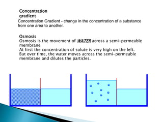 Concentration 
gradient 
Concentration Gradient - change in the concentration of a substance 
from one area to another. 
Osmosis 
Osmosis is the movement of WATER across a semi-permeable 
membrane 
At first the concentration of solute is very high on the left. 
But over time, the water moves across the semi-permeable 
membrane and dilutes the particles. 
 