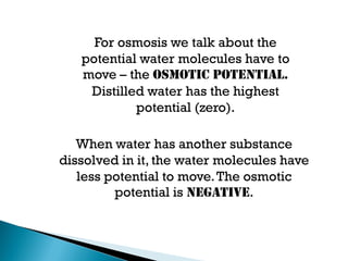 For osmosis we talk about the
potential water molecules have to
move – the OSMOTIC POTENTIAL.
Distilled water has the highest
potential (zero).
When water has another substance
dissolved in it, the water molecules have
less potential to move.The osmotic
potential is NEGATIVE.
 