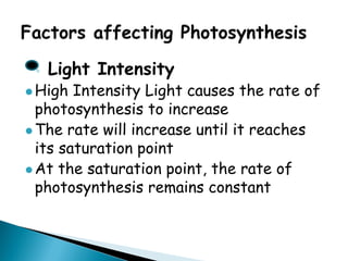 ◦ Light Intensity 
High Intensity Light causes the rate of photosynthesis to increase 
The rate will increase until it reaches its saturation point 
At the saturation point, the rate of photosynthesis remains constant  