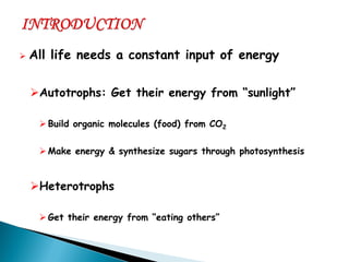All life needs a constant input of energy 
Autotrophs: Get their energy from “sunlight” 
Build organic molecules (food) from CO2 
Make energy & synthesize sugars through photosynthesis 
Heterotrophs 
Get their energy from “eating others”  