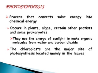 Process that converts solar energy into chemical energy 
Occure in plants, algae, certain other protists and some prokaryotes 
They use the energy of sunlight to make organic molecules from water and carbon dioxide 
The chloroplasts are the major site of photosynthesis located mainly in the leaves  