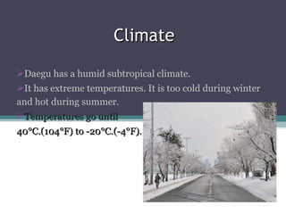 Climate Daegu has a humid subtropical climate. It has extreme temperatures. It is too cold during winter and hot during summer.  Temperatures go until  40°C.(104°F) to -20°C.(-4°F). 