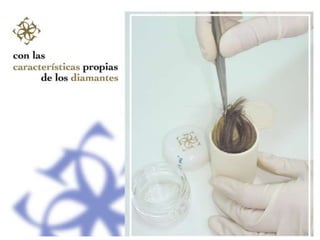 CISCO ha creado los “Customer Forums” para que los clientes debatan sobre nuevas necesidades y los puntos fuertes y débiles de la empresa