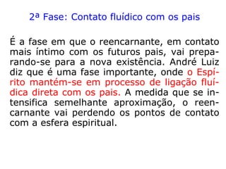 O casamento, os filhos, a profissão, o tempo
médio de vida na Terra e as principais doen-
ças cármicas são nessa fase bem determi-
nados. Mostra-nos também André Luiz que
detalhes mais importantes do futuro corpo
podem ser determinados nesse período. São
os mapas cromossômicos, descritos pelo au-
tor, que traduzem a herança genética do pai
e da mãe e que irão determinar as caracte-
rísticas hereditárias do reencarnante.
 