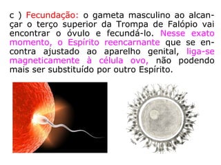 Quando o reencarnante, pelo seu passado, não
faz jus a uma equipe especializada, o processo
se desenvolve segundo os princípios da sintonia
magnética. O perispírito do reencarnante, por
sintonia, atrai o espermatozoide que melhor se
adapte às suas necessidades evolutivas.
 