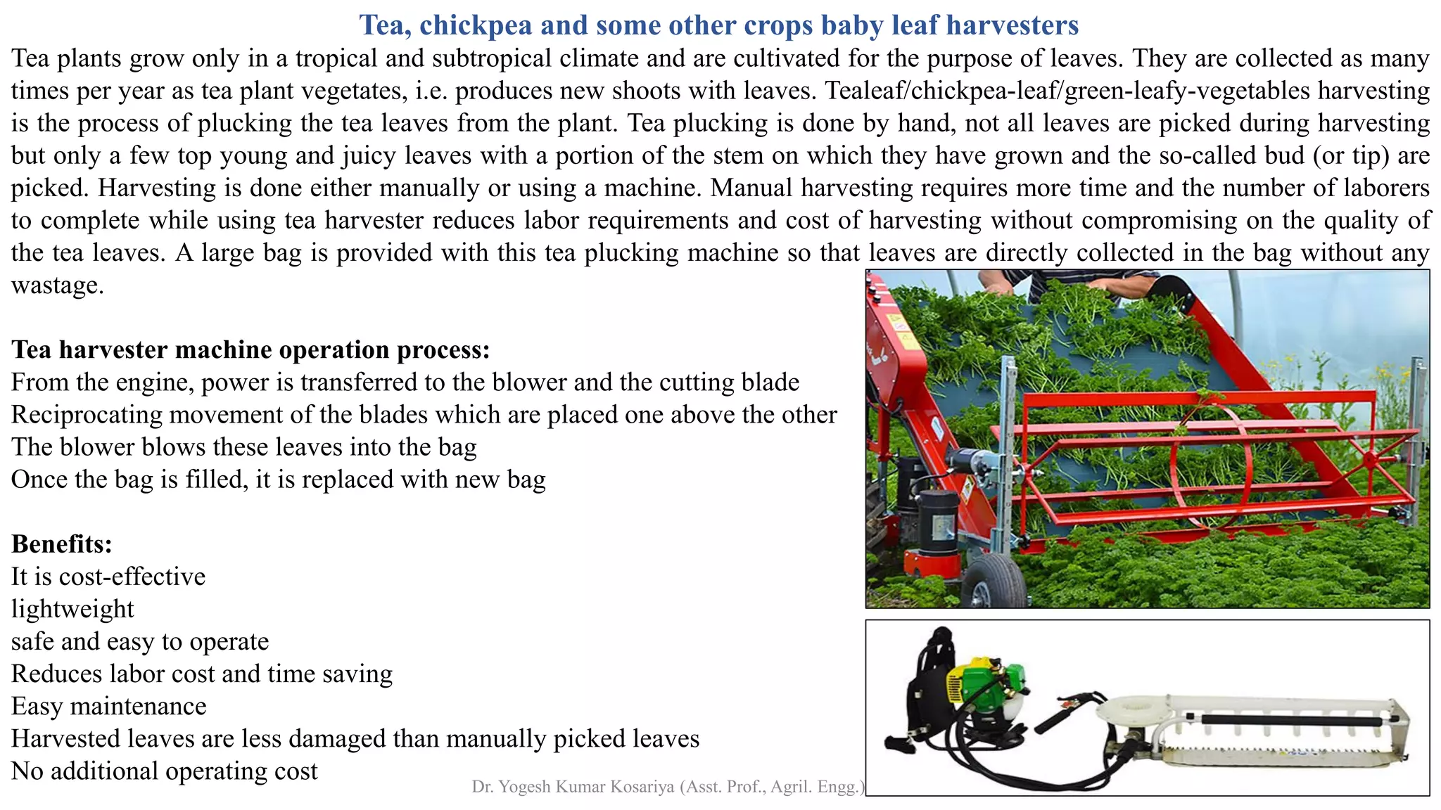 Tea, chickpea and some other crops baby leaf harvesters
Tea plants grow only in a tropical and subtropical climate and are cultivated for the purpose of leaves. They are collected as many
times per year as tea plant vegetates, i.e. produces new shoots with leaves. Tealeaf/chickpea-leaf/green-leafy-vegetables harvesting
is the process of plucking the tea leaves from the plant. Tea plucking is done by hand, not all leaves are picked during harvesting
but only a few top young and juicy leaves with a portion of the stem on which they have grown and the so-called bud (or tip) are
picked. Harvesting is done either manually or using a machine. Manual harvesting requires more time and the number of laborers
to complete while using tea harvester reduces labor requirements and cost of harvesting without compromising on the quality of
the tea leaves. A large bag is provided with this tea plucking machine so that leaves are directly collected in the bag without any
wastage.
Tea harvester machine operation process:
From the engine, power is transferred to the blower and the cutting blade
Reciprocating movement of the blades which are placed one above the other
The blower blows these leaves into the bag
Once the bag is filled, it is replaced with new bag
Benefits:
It is cost-effective
lightweight
safe and easy to operate
Reduces labor cost and time saving
Easy maintenance
Harvested leaves are less damaged than manually picked leaves
No additional operating cost Dr. Yogesh Kumar Kosariya (Asst. Prof., Agril. Engg.)
 