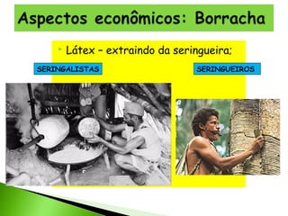 

Látex – extraindo da seringueira;

SERINGALISTAS

SERINGUEIROS

 