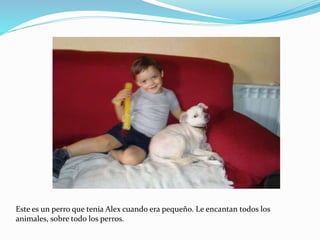 Este es un perro que tenía Alex cuando era pequeño. Le encantan todos los
animales, sobre todo los perros.
 