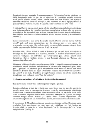 11
Darwin divulgou os resultados de sua pesquisa em A Origem das Espécies, publicado em
1859. Sua posição básica era que, não era algum tipo de “capacidade herdada” nos seres
vivos que os permitia evoluir, como Lamarck tinha dito; mas ao invés, era o próprio
ambiente natural que causava a evolução. Como resultado, não havia espaço para deixar
qualquer tipo de evolução por parte de Deus no desenvolvimento dos seres vivos.
A ideia de Darwin era que, sendo que a seleção natural funciona gradualmente, através de
uma lenta acumulação de variações vantajosas, nunca houve nenhum salto no processo
evolucionário dos seres vivos, mas ao invés, os seres vivos evoluem lenta e gradualmente.
Essa ideia foi mantida com o velho ditado que “natura non facit saltum” (“A natureza não
dá saltos”).
Como complemento à sua teoria da seleção natural, Darwin também incluiu “seleção
sexual,” pela qual essas características que são atraentes para o sexo oposto são
selecionadas e preservadas. Juba em leões, chifre em cervos, belas penas em pássaros foram
citados como exemplos do funcionamento da seleção sexual.
Por outro lado, Darwin aceitou a visão de Lamarck que os seres vivos se adaptam às
mudanças no meio ambiente, e ao fazer isso, mudam a si mesmos. Considerando que as
variações vantajosas em indivíduos que sobreviveram pela seleção natural eram
hereditárias, Darwin também aceitou o que Lamarck chamava de “herança das
características adquiridas.”
Mais tarde, o biólogo alemão August Weismann (1834-1914) publicou os resultados de um
experimento no qual ele cortou constantemente os rabos de ratos uma geração após a outra,
por 22 gerações. Ele observou que a descendência desses ratos não nasceu com rabos
encurtados. Baseado nisso, ele negou totalmente a “herança de características adquiridas”
de Lamarck e, ao invés, defendeu a evolução baseada somente na seleção natural. Sua
posição veio a ser conhecida como “Neo-Darwinismo.”
5. Descoberta das Leis da Hereditariedade de Mendel
Suas experiências com ervilhas acabaram por dar origem à genética.
Darwin estabeleceu a ideia da evolução dos seres vivos; mas, no que diz respeito às
questões sobre como as características dos seres vivos são transmitidas dos pais para os
descendentes, e como uma mudança ocorre em um ser vivo, ele não tinha ideias muito
claras. Entretanto, enquanto Darwin estava escrevendo A Origem das Espécies, um monge
chamado Gregor Johann Mendel (1822-1884) estava fazendo experimentos com
cruzamento de plantas em seu monastério na Áustria, em busca das leis da hereditariedade.
O experimento de Mendel consistia em cruzar diversos tipos de ervilhas. Depois de reunir
resultados deste experimento por oito anos, ele estabeleceu três leis básicas da
hereditariedade, as quais são, a “lei da dominância.” A “lei da segregação,” e a “lei da
independência” (ver Fig. 5).
 