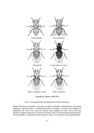 17
Fig. 7: Um Experimento com Mutação em Moscas da Fruta
Huxley afirmou que mutação se processa em todas as direções, acidentalmente e de forma
aleatória, e apenas fornece a matéria-prima para a evolução. A maioria das mutações é
prejudicial aos seres vivos, mas um número muito pequeno de seres vivos com uma
mutação vantajosa sobrevive na luta pela existência, isto é, são selecionados pela natureza.
Como resultado, as mutações favoráveis para os seres vivos se desenvolvem gradualmente.
 