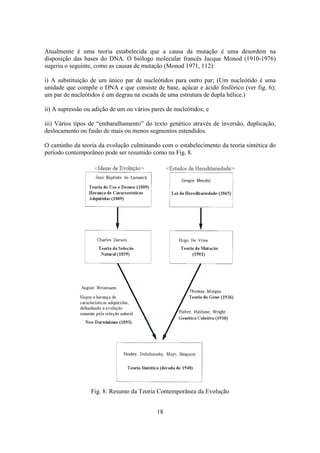 18
Atualmente é uma teoria estabelecida que a causa da mutação é uma desordem na
disposição das bases do DNA. O biólogo molecular francês Jacque Monod (1910-1976)
sugeriu o seguinte, como as causas de mutação (Monod 1971, 112):
i) A substituição de um único par de nucleótidos para outro par; (Um nucleótido é uma
unidade que compõe o DNA e que consiste de base, açúcar e ácido fosfórico (ver fig. 6);
um par de nucleótidos é um degrau na escada de uma estrutura de dupla hélice.)
ii) A supressão ou adição de um ou vários pares de nucleótidos; e
iii) Vários tipos de “embaralhamento” do texto genético através de inversão, duplicação,
deslocamento ou fusão de mais ou menos segmentos estendidos.
O caminho da teoria da evolução culminando com o estabelecimento da teoria sintética do
período contemporâneo pode ser resumido como na Fig. 8.
Fig. 8: Resumo da Teoria Contemporânea da Evolução
 