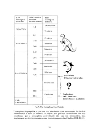 20
Fig. 9: Um Exemplo de Elos Perdidos
Como para o arqueoptérix, o qual tem sido mencionado como um exemplo de fóssil de
intermediários à beira da mudança de répteis para pássaros, recentemente tem sido
considerado que o arqueoptérix possivelmente não seja um intermediário, mas
simplesmente um tipo incomum de pássaro existente naqueles dias (Hitching 1982, 21-23).
 