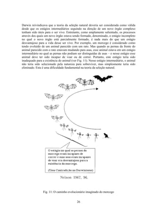 26
Darwin reivindicava que a teoria da seleção natural deveria ser considerada como válida
desde que os estágios intermediários seguindo na direção de um novo órgão complexo
tenham sido úteis para o ser vivo. Entretanto, como amplamente salientado, os processos
através dos quais um novo órgão estava sendo formado, denominado, o estágio incompleto
no qual o novo órgão está parcialmente formado, é nada mais do que um estágio
desvantajoso para a vida desse ser vivo. Por exemplo, um morcego é considerado como
tendo evoluído de um animal parecido com um rato. Mas quando as pernas da frente do
animal parecido com o rato estavam mudando para asas, esse animal estava em um estágio
intermediário no qual as pernas não podiam ser distinguidas de asas – e nesse estágio esse
animal deve ter sido incapaz de voar ou de correr. Portanto, este estágio teria sido
inadequado para a existência do animal (ver Fig. 11). Nesse estágio intermediário, o animal
não teria sido selecionado pela natureza para sobreviver, mas simplesmente teria sido
eliminado. Esta é uma dificuldade fundamental na teoria da seleção natural.
Fig. 11: O caminho evolucionário imaginado do morcego
 