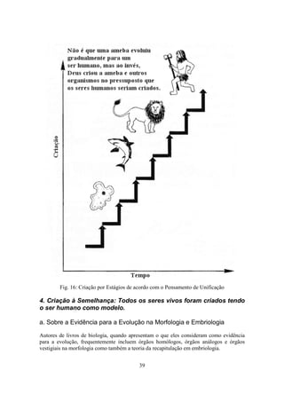 39
Fig. 16: Criação por Estágios de acordo com o Pensamento de Unificação
4. Criação à Semelhança: Todos os seres vivos foram criados tendo
o ser humano como modelo.
a. Sobre a Evidência para a Evolução na Morfologia e Embriologia
Autores de livros de biologia, quando apresentam o que eles consideram como evidência
para a evolução, frequentemente incluem órgãos homólogos, órgãos análogos e órgãos
vestigiais na morfologia como também a teoria da recapitulação em embriologia.
 