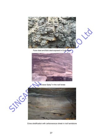 37
Face cleat and Butt cleat exposed in Coal seam
"Crevasse Splay" in the roof strata
Cross stratification with carbonaceous streak in roof sandstone
 