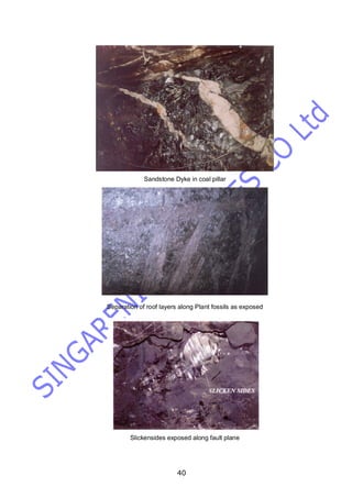 40
Sandstone Dyke in coal pillar
Separation of roof layers along Plant fossils as exposed
Slickensides exposed along fault plane
 