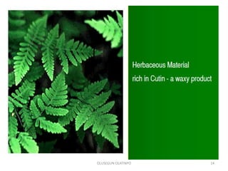 OLUSEGUN OLATINPO 14
 