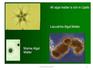 OLUSEGUN OLATINPO 15
 