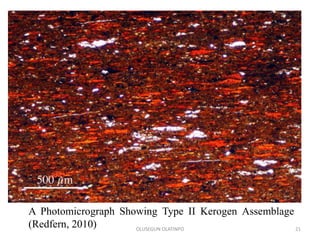 A Photomicrograph Showing Type II Kerogen Assemblage
(Redfern, 2010) OLUSEGUN OLATINPO 21
 