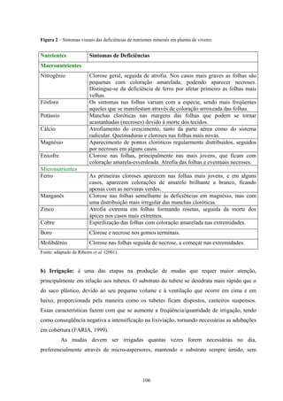106
Figura 2 – Sintomas visuais das deficiências de nutrientes minerais em plantas de viveiro.
Nutrientes Sintomas de Deficiências
Macronutrientes
Nitrogênio Clorose geral, seguida de atrofia. Nos casos mais graves as folhas são
pequenas com coloração amarelada, podendo aparecer necroses.
Distingue-se da deficiência de ferro por afetar primeiro as folhas mais
velhas.
Fósforo Os sintomas nas folhas variam com a espécie, sendo mais freqüentes
aqueles que se manifestam através de coloração arroxeada das folhas.
Potássio Manchas cloróticas nas margens das folhas que podem se tornar
acastanhadas (necroses) devido à morte dos tecidos.
Cálcio Atrofiamento do crescimento, tanto da parte aérea como do sistema
radicular. Queimaduras e cloroses nas folhas mais novas.
Magnésio Aparecimento de pontos cloróticos regularmente distribuídos, seguidos
por necroses em alguns casos.
Enxofre Clorose nas folhas, principalmente nas mais jovens, que ficam com
coloração amarela-esverdeada. Atrofia das folhas e eventuais necroses.
Micronutrientes
Ferro As primeiras cloroses aparecem nas folhas mais jovens, e em alguns
casos, aparecem colorações de amarelo brilhante a branco, ficando
apenas com as nervuras verdes.
Manganês Clorose nas folhas semelhante às deficiências em magnésio, mas com
uma distribuição mais irregular das manchas cloróticas.
Zinco Atrofia extrema em folhas formando rosetas, seguida da morte dos
ápices nos casos mais extremos.
Cobre Espirilização das folhas com coloração amarelada nas extremidades.
Boro Clorose e necrose nos gomos terminais.
Molibdênio Clorose nas folhas seguida de necrose, a começar nas extremidades.
Fonte: adaptado de Ribeiro et al. (2001).
b) Irrigação: é uma das etapas na produção de mudas que requer maior atenção,
principalmente em relação aos tubetes. O substrato do tubete se desidrata mais rápido que o
do saco plástico, devido ao seu pequeno volume e à ventilação que ocorre em cima e em
baixo, proporcionada pela maneira como os tubetes ficam dispostos, canteiros suspensos.
Essas características fazem com que se aumente a freqüência/quantidade de irrigação, tendo
como conseqüência negativa a intensificação na lixiviação, tornando necessárias as adubações
em cobertura (FARIA, 1999).
As mudas devem ser irrigadas quantas vezes forem necessárias no dia,
preferencialmente através de micro-aspersores, mantendo o substrato sempre úmido, sem
 