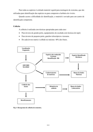 111
Para todas as espécies é coletado material vegetal para montagem de exsicatas, que são
utilizadas para identificação das espécies ou para comporem o herbário do viveiro.
Quando ocorre a dificuldade de identificação, o material é enviado para um centro de
identificação competente.
Colheita
A colheita é realizada com técnicas apropriadas para cada caso:
• Para árvores de grande porte, equipamentos de escalada com técnicas de rapel;
• Para árvores de pequeno porte, ganchos telescópicos e tesouras.
• De cada árvore matriz é colhido no máximo 40% dos frutos.
Fig 1- fluxograma de colheita de sementes.
Localização
fragmento
Espécie não conhecida
Exsicata
Identificação IBt
Cadastramento
de matrizes
Colheita dos
frutos
Beneficiamento
Relatório de
colheita
Banco de dados
Laboratório
Espécie Identificada
Herbáreo
Banco de dados
Matrizes
ÁRVORE
MATRIZ
 