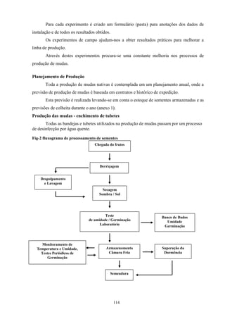 114
Para cada experimento é criado um formulário (pasta) para anotações dos dados de
instalação e de todos os resultados obtidos.
Os experimentos de campo ajudam-nos a obter resultados práticos para melhorar a
linha de produção.
Através destes experimentos procura-se uma constante melhoria nos processos de
produção de mudas.
Planejamento de Produção
Toda a produção de mudas nativas é contemplada em um planejamento anual, onde a
previsão de produção de mudas é baseada em contratos e histórico de expedição.
Esta previsão é realizada levando-se em conta o estoque de sementes armazenadas e as
previsões de colheita durante o ano (anexo 1).
Produção das mudas - enchimento de tubetes
Todas as bandejas e tubetes utilizados na produção de mudas passam por um processo
de desinfecção por água quente.
Fig-2 fluxograma de processamento de sementes
Chegada do frutos
Despolpamento
e Lavagem
Teste
de umidade / Germinação
Laboratório
Armazenamento
Câmara Fria
Superação da
Dormência
Derriçagem
Secagem
Sombra / Sol
Monitoramento de
Temperatura e Umidade,
Testes Periódicos de
Germinação
Banco de Dados
Umidade
Germinação
Semeadura
 