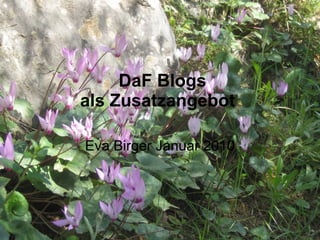 DaF Blogs als Zusatzangebot  Eva Birger Januar 2010 
