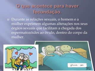    Durante as relações sexuais, o homem e a
    mulher exprimem algumas alterações nos seus
    órgãos sexuais que facilitam a chegada dos
    espermatozóides ao óvulo, dentro do corpo da
    mulher.
 