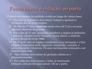 O desenvolvimento do embrião evolui ao longo de várias fases:
 1º- Durante os primeiros dois meses começa a aparecer a
    formação dos diversos órgãos.
 2º- No fim do 2º mês o embrião mede cerca de 3 cm e só pesa
    algumas dezenas de gramas.
 3º- Por volta do 3º mês apresenta membros e órgãos já definidos
   e aparenta mesmo forma humana. Nessa altura, o embrião
   passa a designar-se por feto.
 4º- Do 3º ao 6º mês os órgãos completam a sua formação e o feto
   adquire proporções mais regulares, mantendo, contudo, a
   cabeça bastante volumosa. Os seus movimentos começam a ser
   sentidos pela mãe.
  5º- Nos últimos dois meses de gestação ultima-se o
   desenvolvimento.
  6º- Por volta dos nove meses, o bebé, já totalmente
   formado, está pronto para nascer. Dá-se o parto.
 