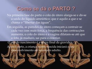 Na primeira fase do parto o colo do útero alarga-se e dá-se
  a saída do líquido amniótico; que é aquilo a que e se
  chama o “libertar das águas”.
Em seguida, as paredes do útero começam a contrair-se
  cada vez com mais força, a frequência das contracções
  aumenta, o colo do útero e a vagina dilatam-se até que
  o feto, já maduro, sai para o exterior.
O ato do nascimento é a etapa final da gravidez,.
Após o parto, a criança recém-nascida iniciará o seu
  desenvolvimento até ao estado adulto.
 