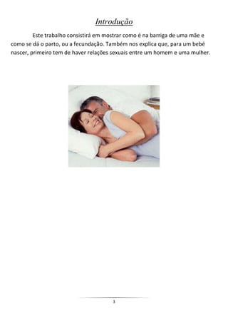 Introdução
         Este trabalho consistirá em mostrar como é na barriga de uma mãe e
como se dá o parto, ou a fecundação. Também nos explica que, para um bebé
nascer, primeiro tem de haver relações sexuais entre um homem e uma mulher.




                                      3
 