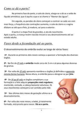 Como se dá o parto?
         Na primeira fase do parto, o colo do útero, alarga-se e dá-se a saída do
líquido amniótico; que é aquilo a que e se chama o “libertar das águas”.

         Em seguida, as paredes do útero começam a contrair-se cada vez com
mais força, a frequência das contrações aumenta, o colo do útero e a vagina
dilatam-se até que o feto, já maduro, sai para o exterior.

        O parto é a etapa final da gravidez, o ato do nascimento.
Após o parto, a criança recém-nascida iniciará o seu desenvolvimento até ao
estado adulto.

Fases desde a fecundação até ao parto.
O desenvolvimento do embrião evolui ao longo de várias fases:

1º- Durante os primeiros dois meses começa a aparecer a formação dos diversos
órgãos.

2º- No fim do 2º mês o embrião mede cerca de 3 cm e só pesa algumas dezenas
de gramas.

3º- Por volta do 3º mês apresenta membros e órgãos já definidos e aparenta
mesmo forma humana. Nessa altura, o embrião passa a designar-se por feto.

 4º- Do 3º ao 6º mês os órgãos completam a sua
formação e o feto adquire proporções mais regulares,
mantendo, contudo, a cabeça bastante volumosa. Os
seus movimentos começam a ser sentidos pela mãe.

5º- Nos últimos dois meses de gestação ultima-se o
desenvolvimento.

6º- Por volta dos nove meses, o bebé, já totalmente
formado, está pronto para nascer. Dá-se o parto.

                                         6
 
