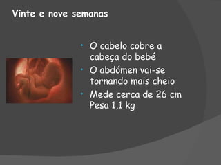 Vinte e nove semanas


              • O cabelo cobre a
                cabeça do bebé
              • O abdómen vai-se
                tornando mais cheio
              • Mede cerca de 26 cm
                Pesa 1,1 kg
 
