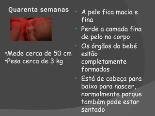 Quarenta semanas • A pele fica macia e
                      fina
                    • Perde a camada fina
                      de pelo no corpo
                    • Os órgãos do bebé
•Mede cerca de 50 cm estão
•Pesa cerca de 3 kg   completamente
                      formados
                    • Está de cabeça para
                      baixo para nascer,
                      normalmente porque
                      também pode estar
                      sentado
 